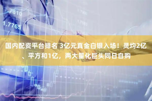 国内配资平台排名 3亿元真金白银入场！灵均2亿、平方和1亿，两大量化巨头同日自购